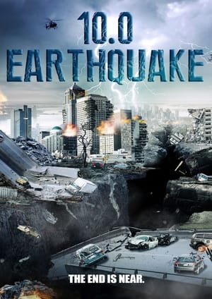 10.0 Earthquake 2014 Hindi Dual Audio 300MB HD Poster Download - Filmyzilla