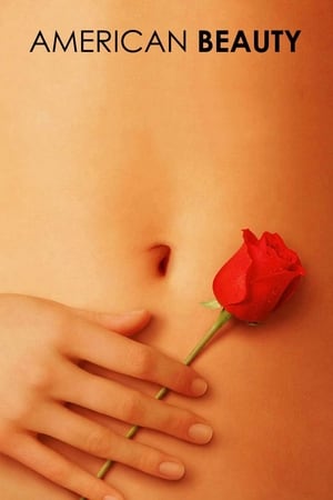 American Beauty (1999) Hindi Dual Audio [900MB] HD Poster Download - Filmyzilla