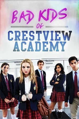 Bad Kids of Crestview Academy (2017) Hindi Dual Audio [900MB] HD Poster Download - Filmyzilla