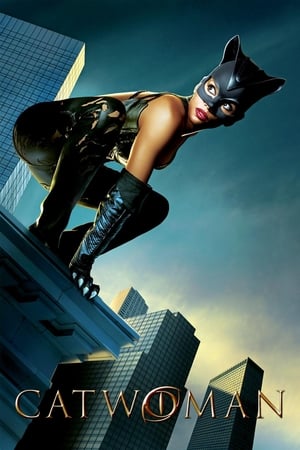 Catwoman (2004) Hindi Dual Audio 400MB HD Poster Download - Filmyzilla