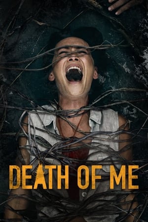 Death of Me (2020) Hindi Dual Audio 300MB HD Poster Download - Filmyzilla