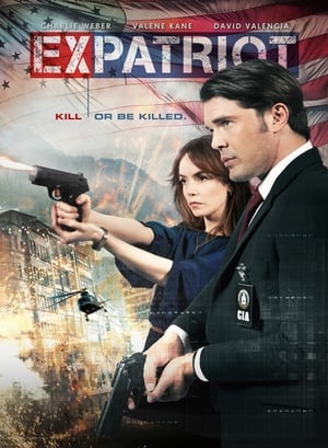 ExPatriot 2017 Hindi Dual Audio 300MB HD Poster Download - Filmyzilla