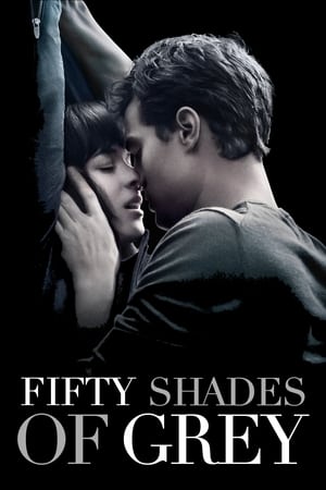 Fifty Shades of Grey 2015 Hindi Dual Audio 400MB HD Poster Download - Filmyzilla