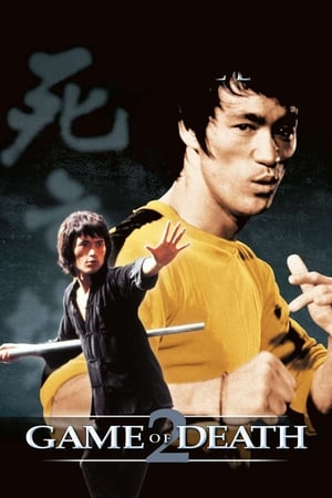 Game of Death II (1981) Dual Audio Hindi 300MB HD Poster Download - Filmyzilla