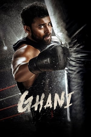 Ghani 2022 Hindi (HQ DUB) – HD Poster Download - Filmyzilla