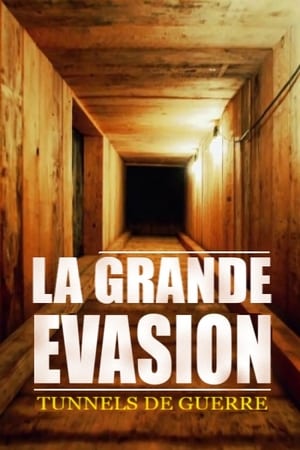 GREAT ESCAPE (2018) Hindi Dubbed 450MB HD Poster Download - Filmyzilla