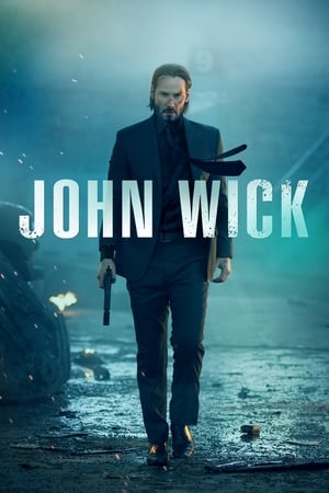 John wick 2014 100mb Hindi Dual Audio movie Download HD Poster Download - Filmyzilla