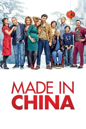 Made in China (2019) Hindi Movie [930MB] HD Poster Download - Filmyzilla