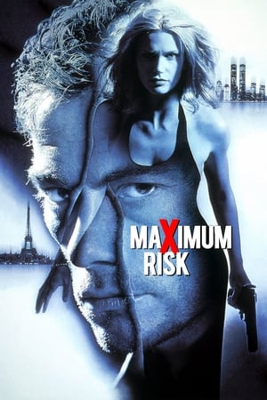 Maximum Risk (1996) Hindi Dual Audio 330MB HD Poster Download - Filmyzilla