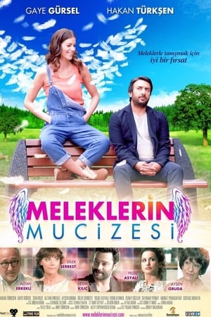 Meleklerin mucizesi (2014) Hindi Dual Audio 280MB HD Poster Download - Filmyzilla