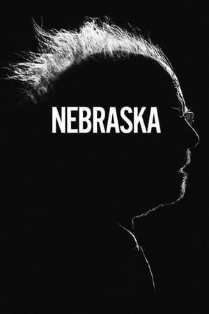 Nebraska 2013 Dual Audio Hindi Movie - 1GB HD Poster Download - Filmyzilla