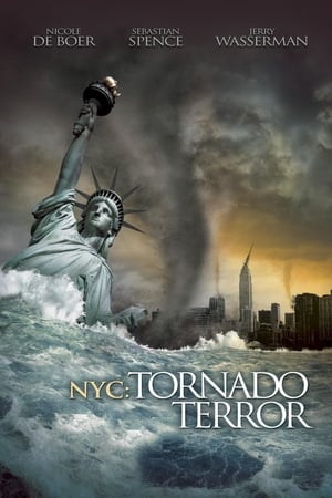 NYC Tornado Terror 2008 Hindi Dual Audio 300MB HD Poster Download - Filmyzilla