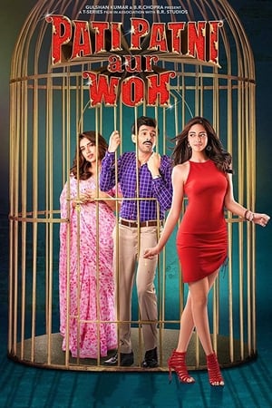 Pati Patni Aur Woh 2019 Hindi Movie – [350MB] HD Poster Download - Filmyzilla