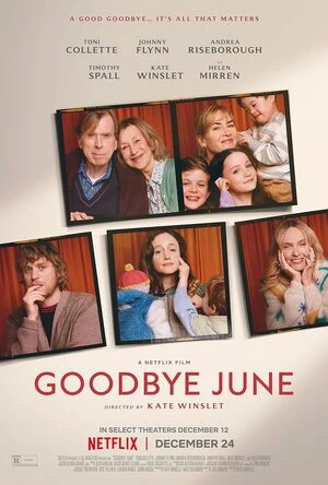 Goodbye June 2025 Hindi Dual Audio HD Poster Download - Filmyzilla