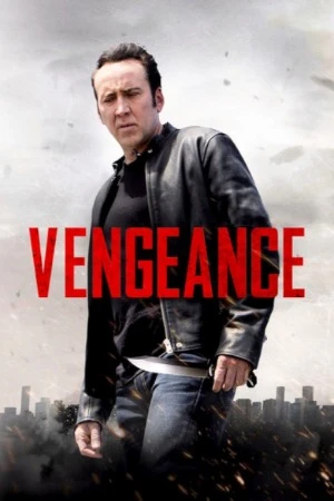 Vengeance: A Love Story 2017 Hindi Dual Audio HD Poster Download - Filmyzilla