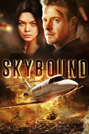 Skybound (2017) Hindi Dual Audio [1.2GB] HD Poster Download - Filmyzilla