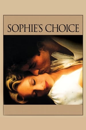 Sophie's Choice (1982) Dual Audio Hindi Full Movie - 1.1GB HD Poster Download - Filmyzilla