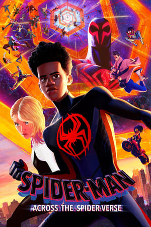 Spider-Man: Across the Spider-Verse 2023 Hindi (ORG) HD Poster Download - Filmyzilla