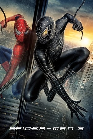 Spiderman 3 (2007) 100mb Hindi Dual Audio movie Download HD Poster Download - Filmyzilla