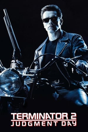 Terminator 2 (1991) Hindi Dual Audio 500MB HD Poster Download - Filmyzilla
