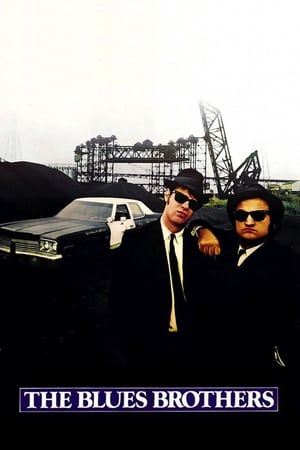 The Blues Brothers (1980) Hindi Dual Audio 450MB ESubs HD Poster Download - Filmyzilla