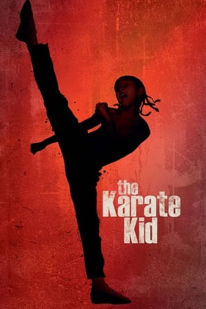 The Karate Kid 2010 Hindi Dubbed 300MB Full Movie HD Poster Download - Filmyzilla
