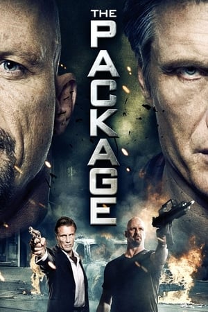 The Package (2013) Hindi Dual Audio 350MB HD Poster Download - Filmyzilla