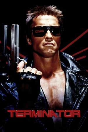 The Terminator (1984) Hindi Dual Audio 380MB HD Poster Download - Filmyzilla