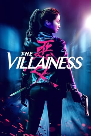 The Villainess (2017) Hindi Dual Audio – HD Poster Download - Filmyzilla
