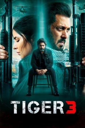 Tiger 3 2023 Hindi (ORG) – HD Poster Download - Filmyzilla