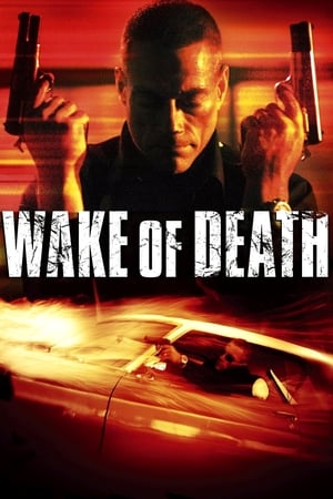 Wake of Death 2004 Hindi Dual Audio [1GB] HD Poster Download - Filmyzilla