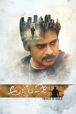 Yevadu 3 (Agnyaathavaasi) 2018 Dual Audio Hindi 450MB HD Poster Download - Filmyzilla